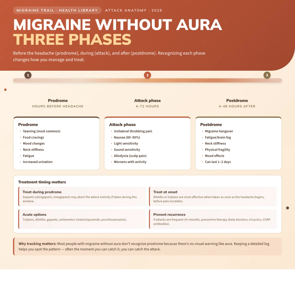 Migraine Without Aura: Symptoms, Diagnosis, and Treatment
